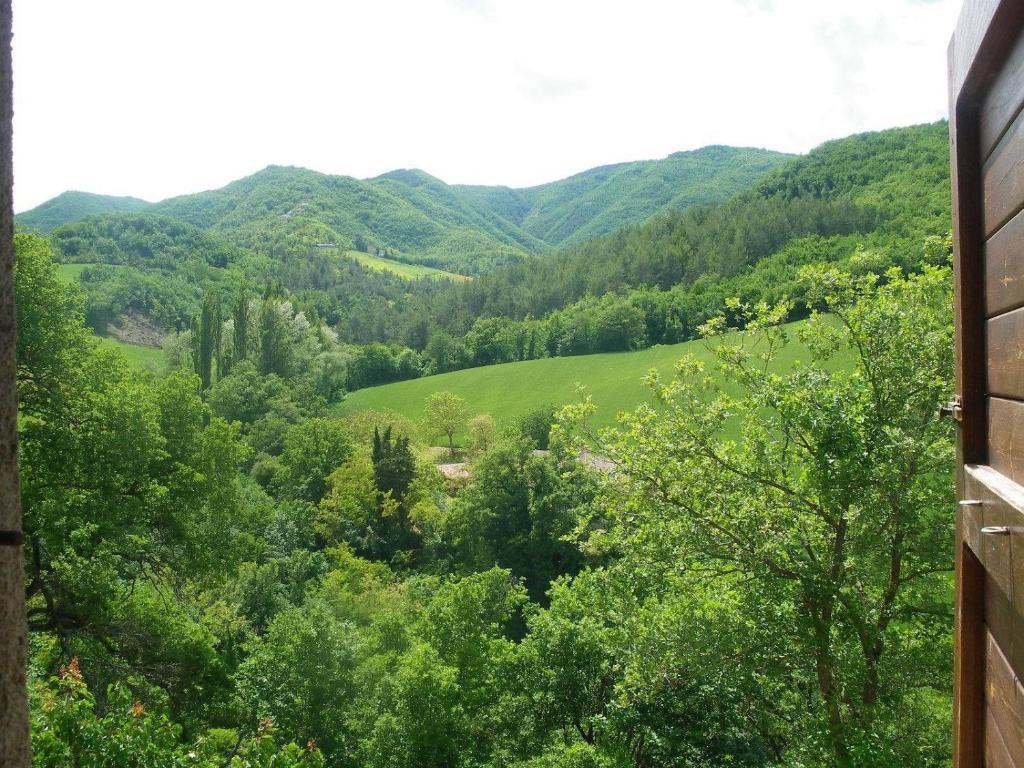 Agriturismo Orsaiola أوربانيا الغرفة الصورة