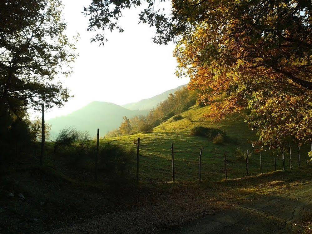 Agriturismo Orsaiola أوربانيا المظهر الخارجي الصورة